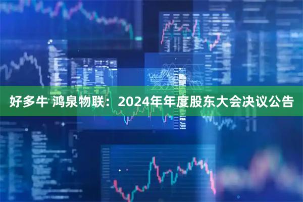 好多牛 鸿泉物联：2024年年度股东大会决议公告