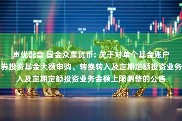 声优配音 国金众赢货币: 关于对单个基金账户国金众赢货币市场证券投资基金大额申购、转换转入及定期定额投资业务金额上限调整的公告