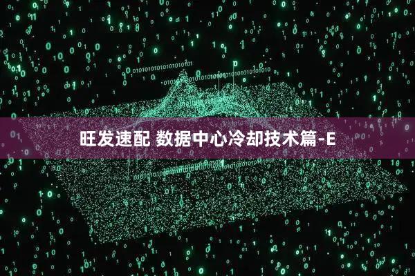 旺发速配 数据中心冷却技术篇-E